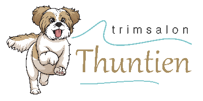 Thuntien Logo
